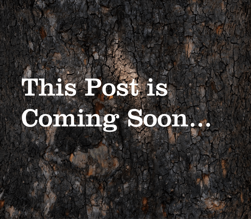 Cincy’s River Roots: A Timeless&nbsp;Celebration