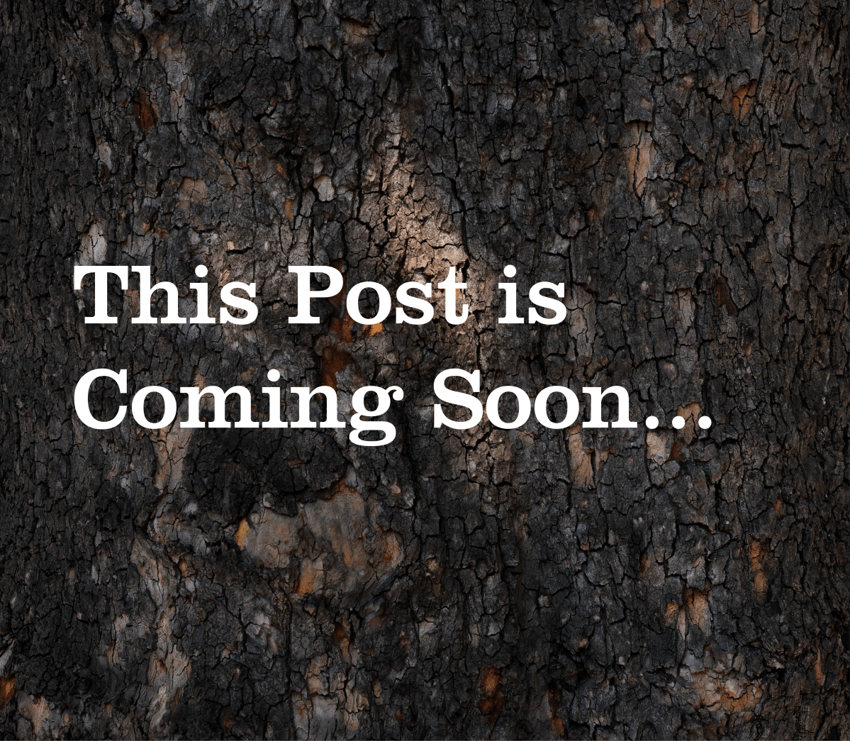 Cincy’s River Roots: A Timeless&nbsp;Celebration